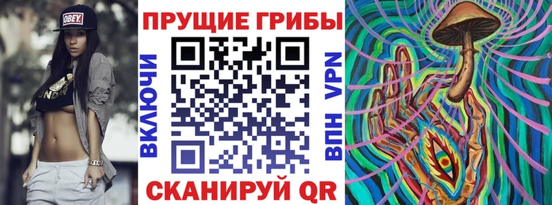Псилоцибиновые грибы прущие грибы  Заволжск 